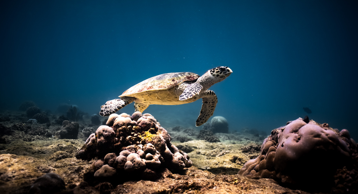 Fuvahmulah Scuba Club