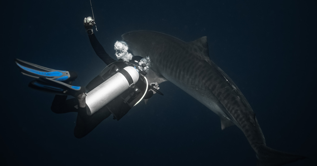 Fuvahmulah Scuba Club