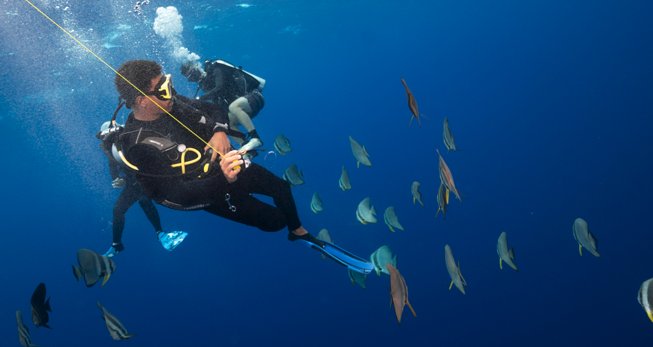 Fuvahmulah Scuba Club