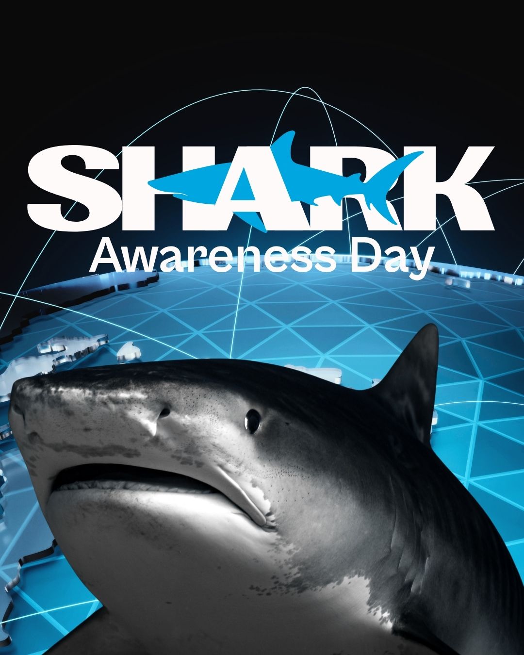 Shark Awareness Day 2026: Celebrating the Guardians of Our Oceans