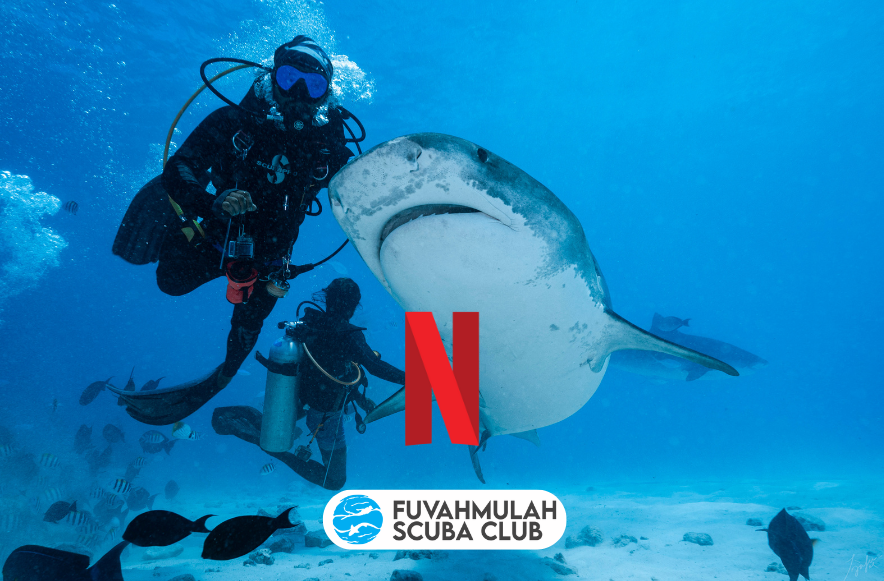 'All the Sharks', Now Streaming on Netflix, featuring Fuvahmulah Island