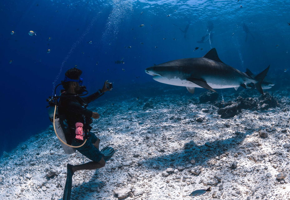 Fuvahmulah Diving for Experienced Divers: What You Need to Know Before Booking