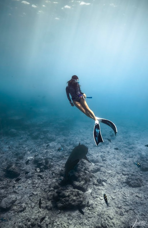 Cozy Blue Freediving