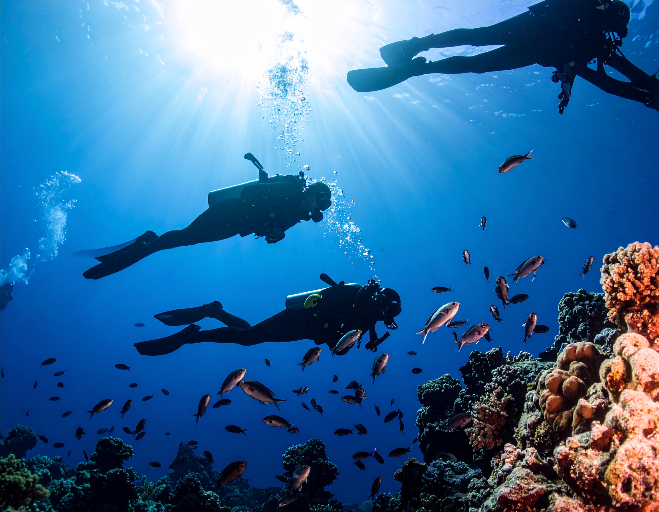 Dhanghethi + Fuvahmulah Dive Combo 1