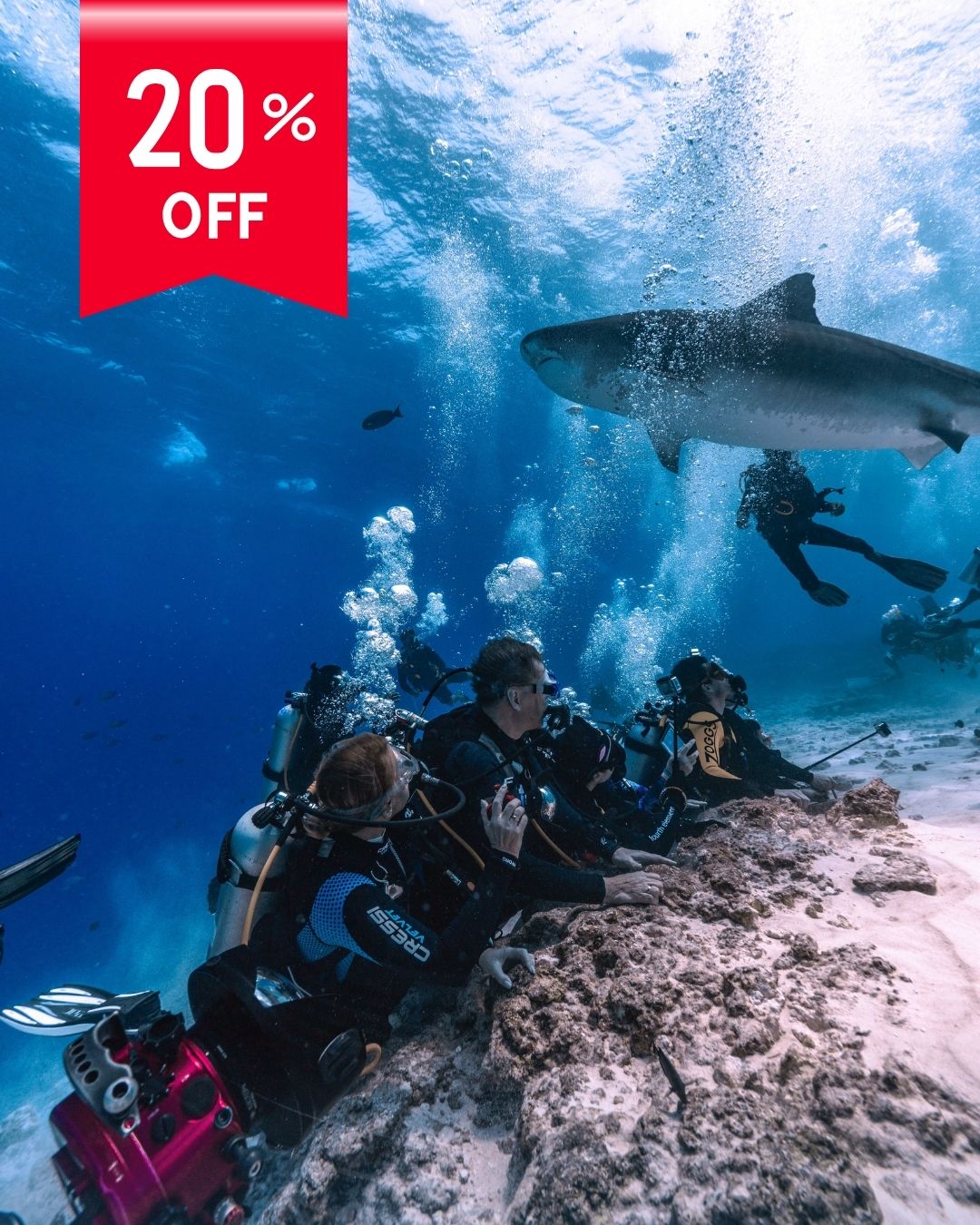 Ultimate Dive Odyssey