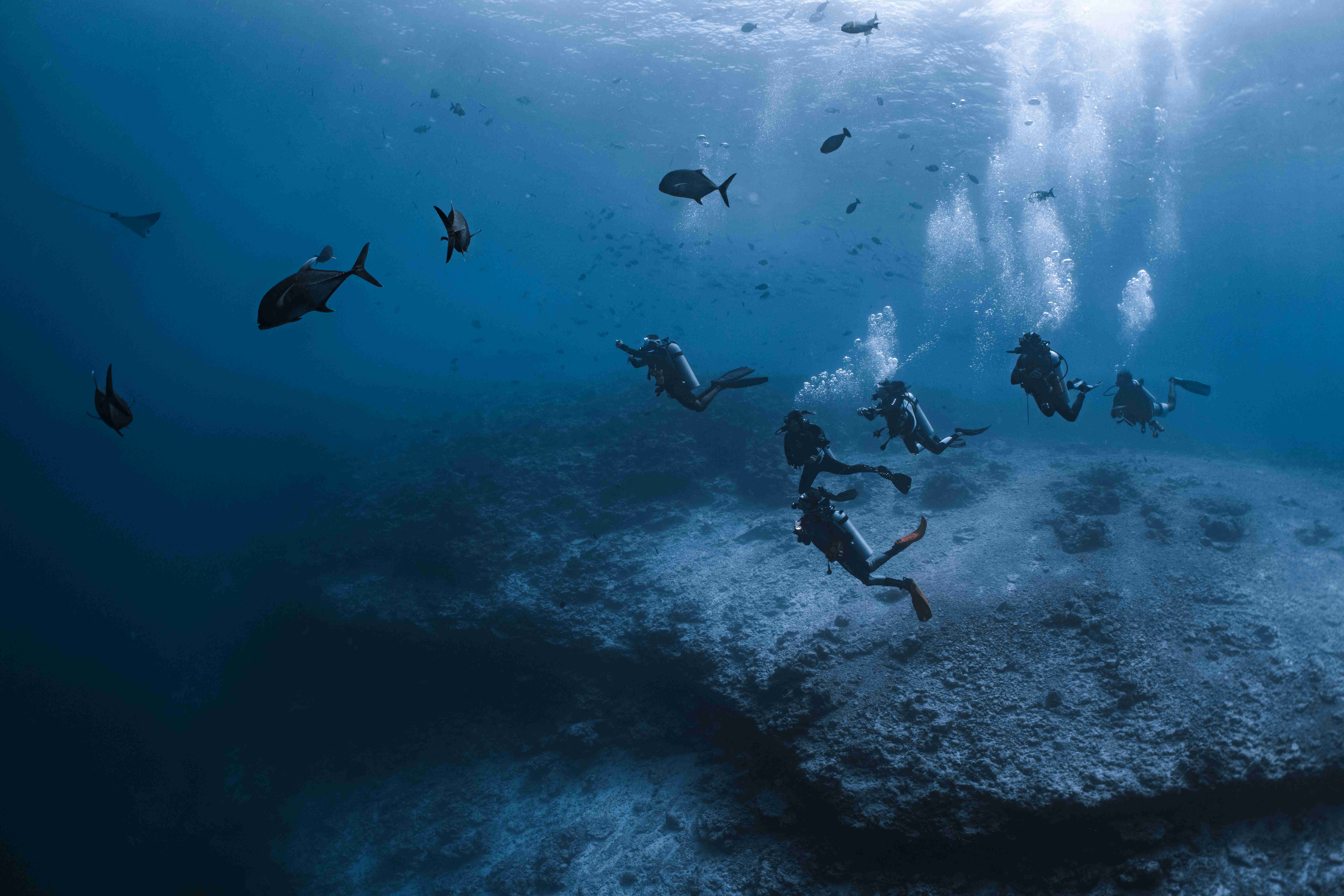 Dhanghethi + Fuvahmulah Dive Combo 3