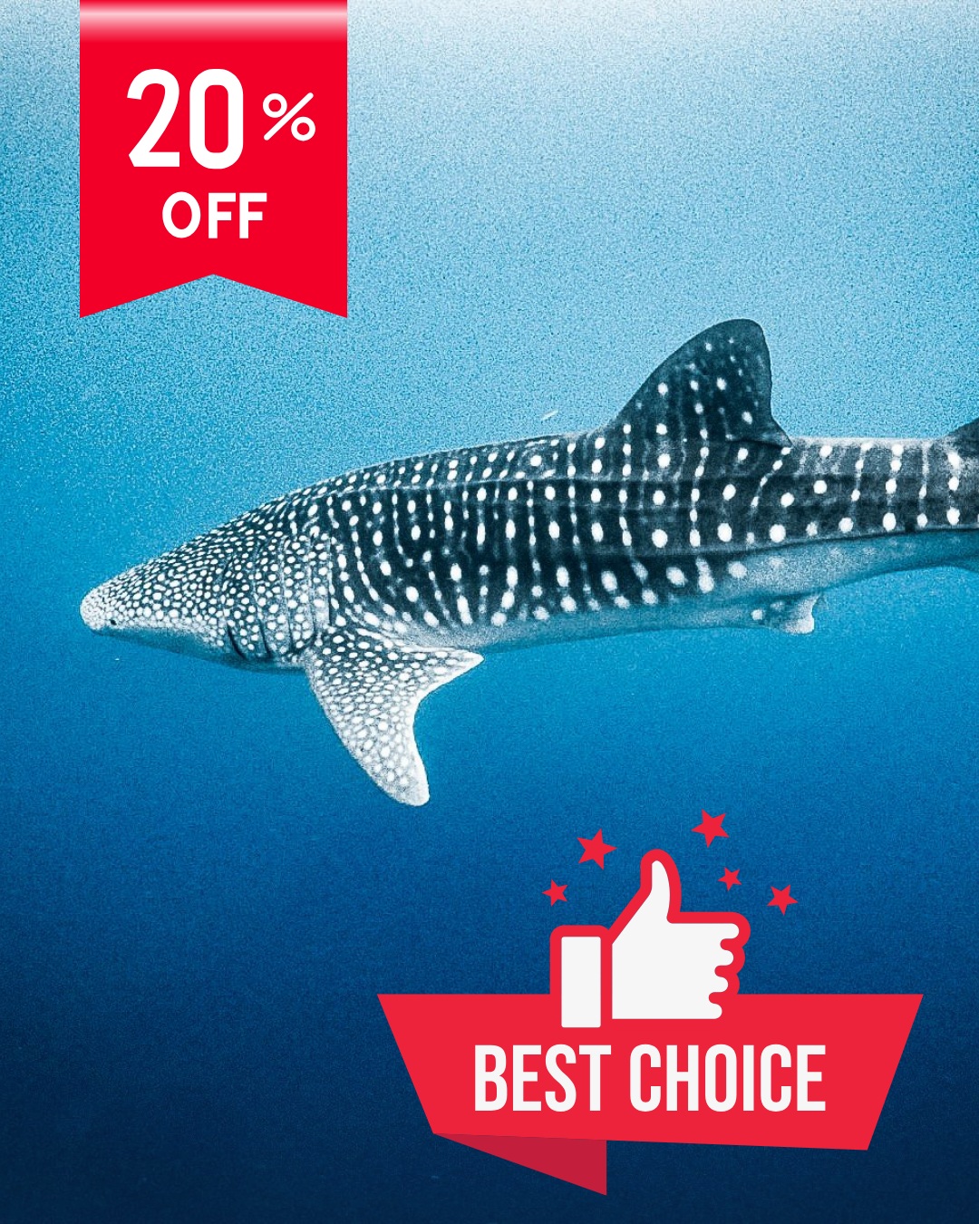 Immersive Dive Expedition