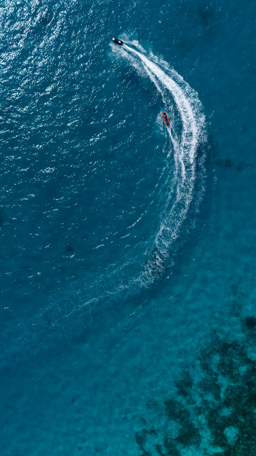 Whale Shark Quest Package - Image 4
