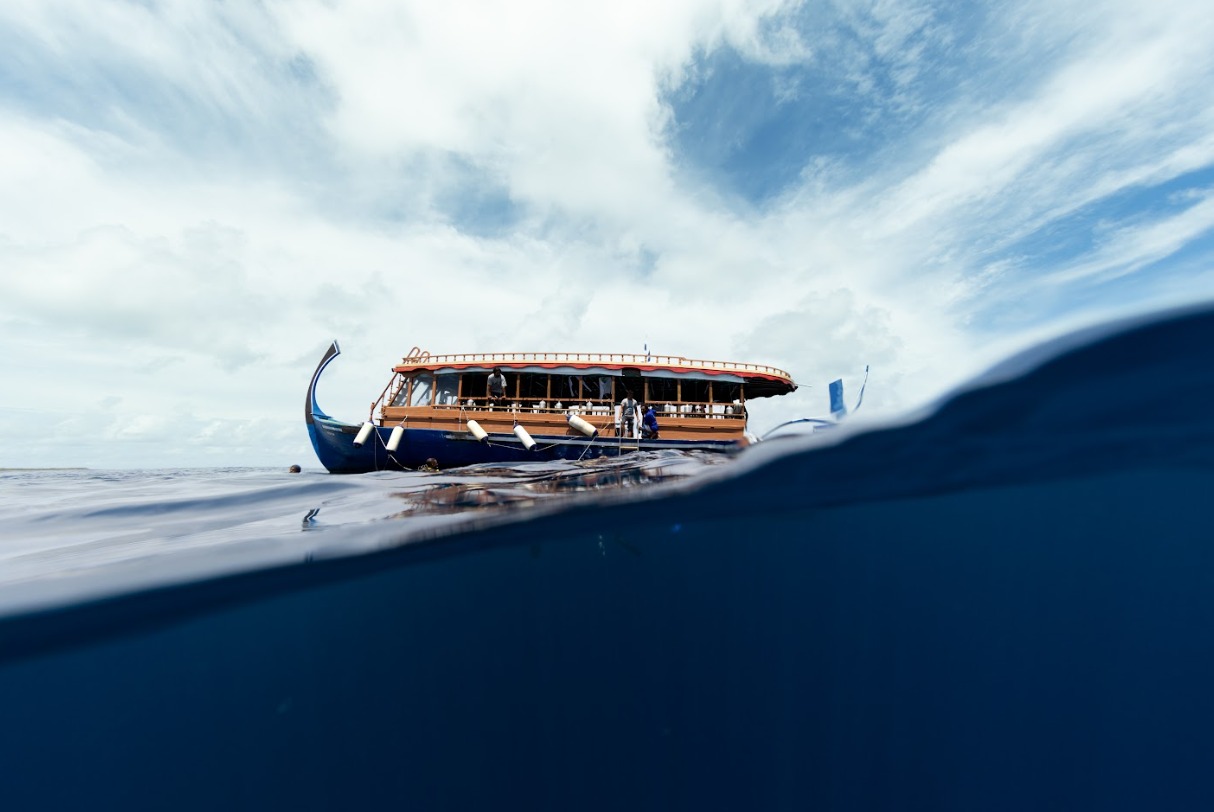 Fuvahmulah Tiger Shark Group Adventure - Image 4