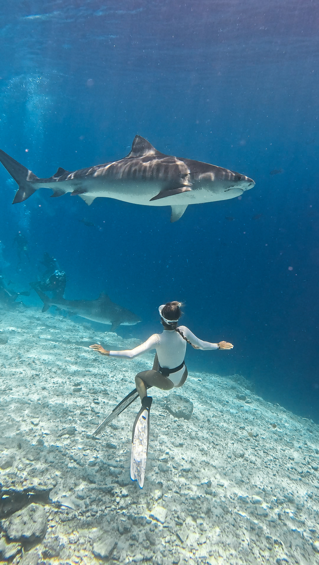 Freediving Short Stay Experience