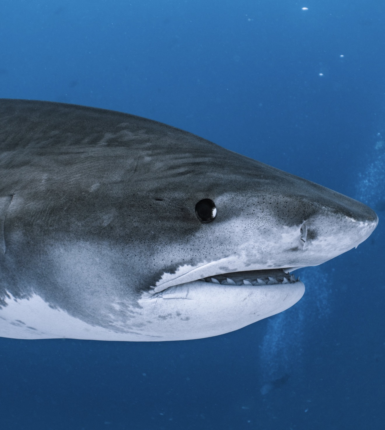 Adventure Package - Image 3