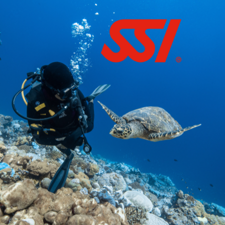 SSI Basic Diver