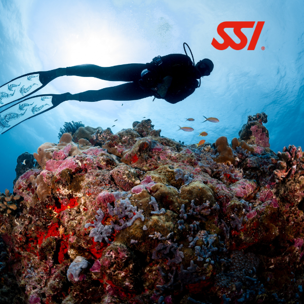 SSI Specialty Course