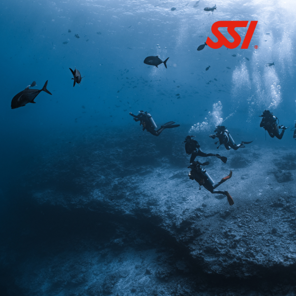 SSI Open Advanced Adventure