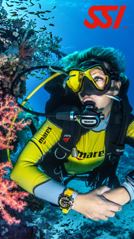 SSI Shark Ecology Specialty