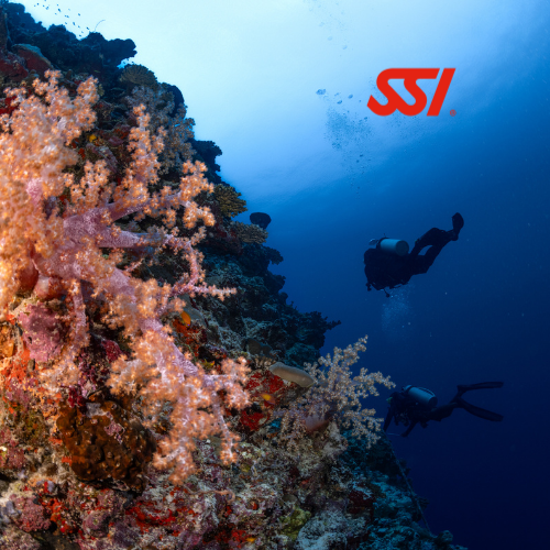 SSI Open Water Diver