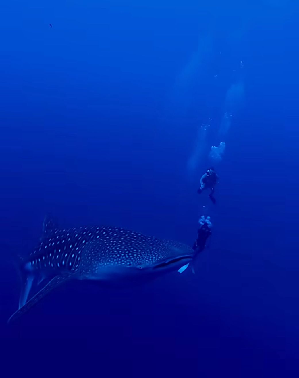 Photo Captured By Jent @jointheblues