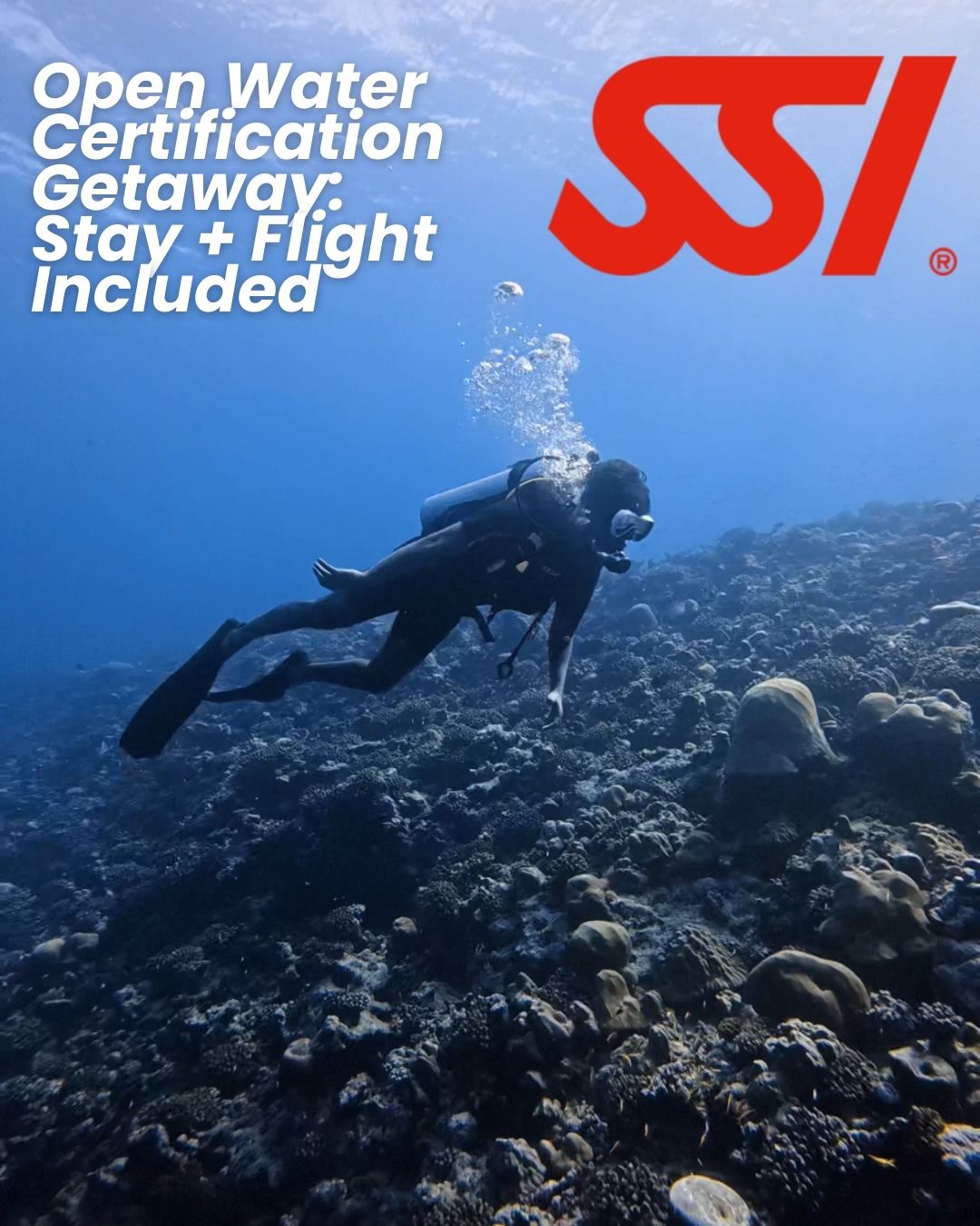 Learn & Dive Holiday (Open Water Starter) - 10% off for the Open Water Course Rate