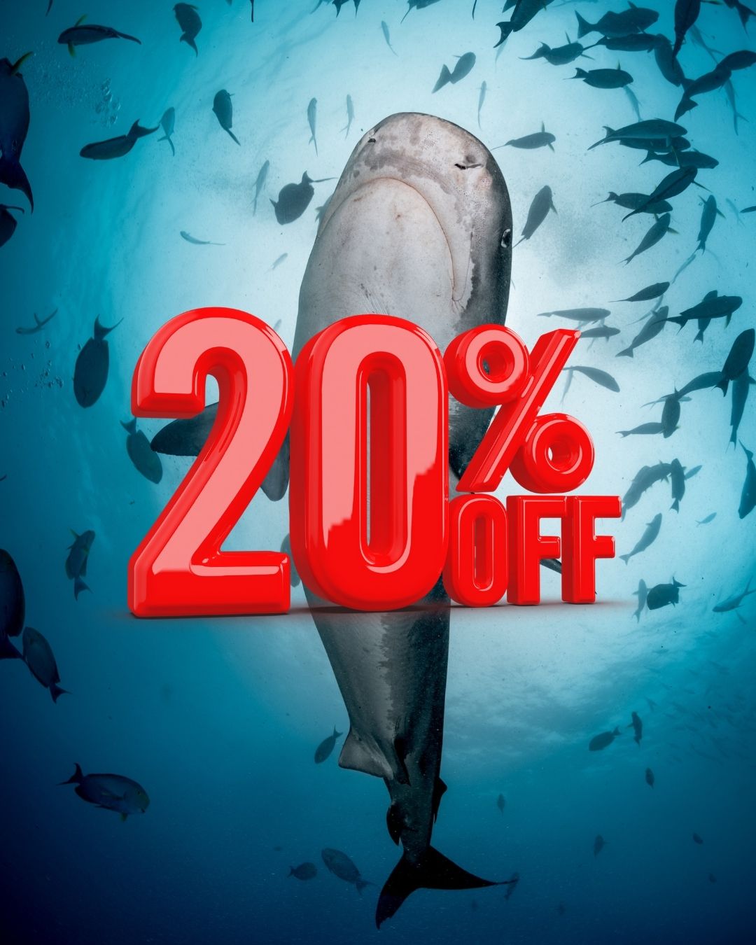 Seasonal Dive Offer | May – September 2026