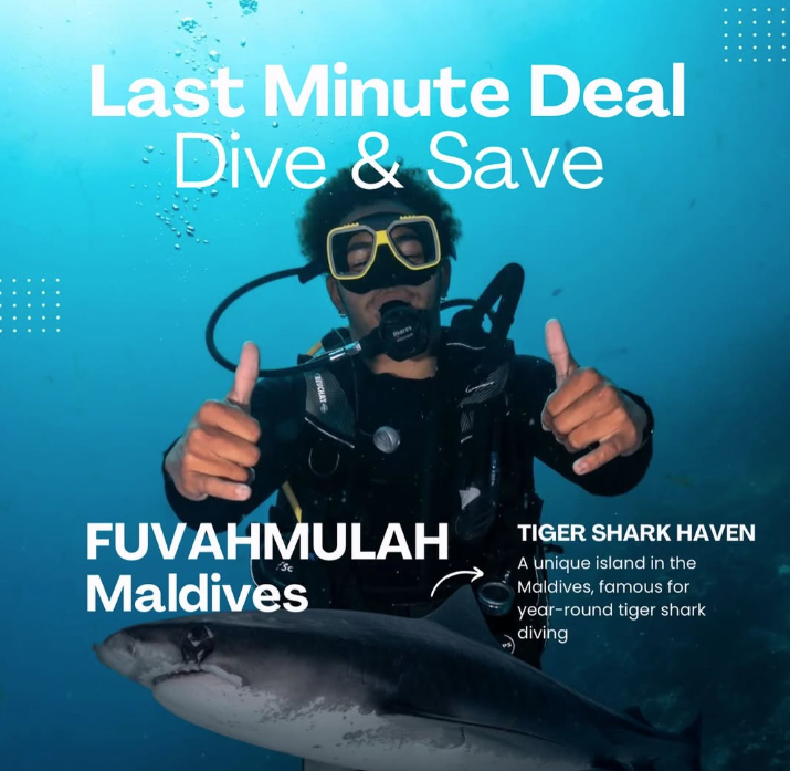 Last-Minute Deal: Dive & Save in Fuvahmulah! 🌊🦈