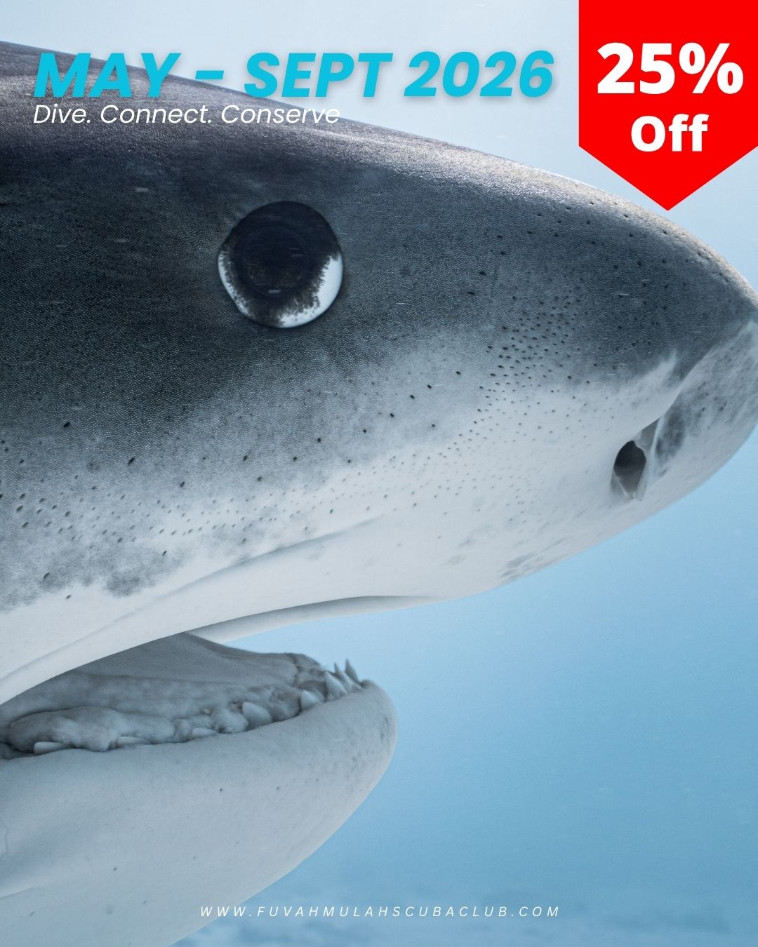 Seasonal Dive Offer | May – September 2026