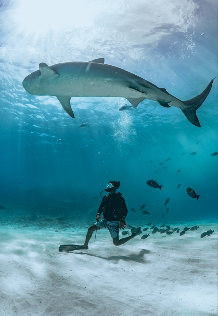 1 MONTH OF UNLIMITED DIVING USD 1,500  MAY – SEPTEMBER 2027