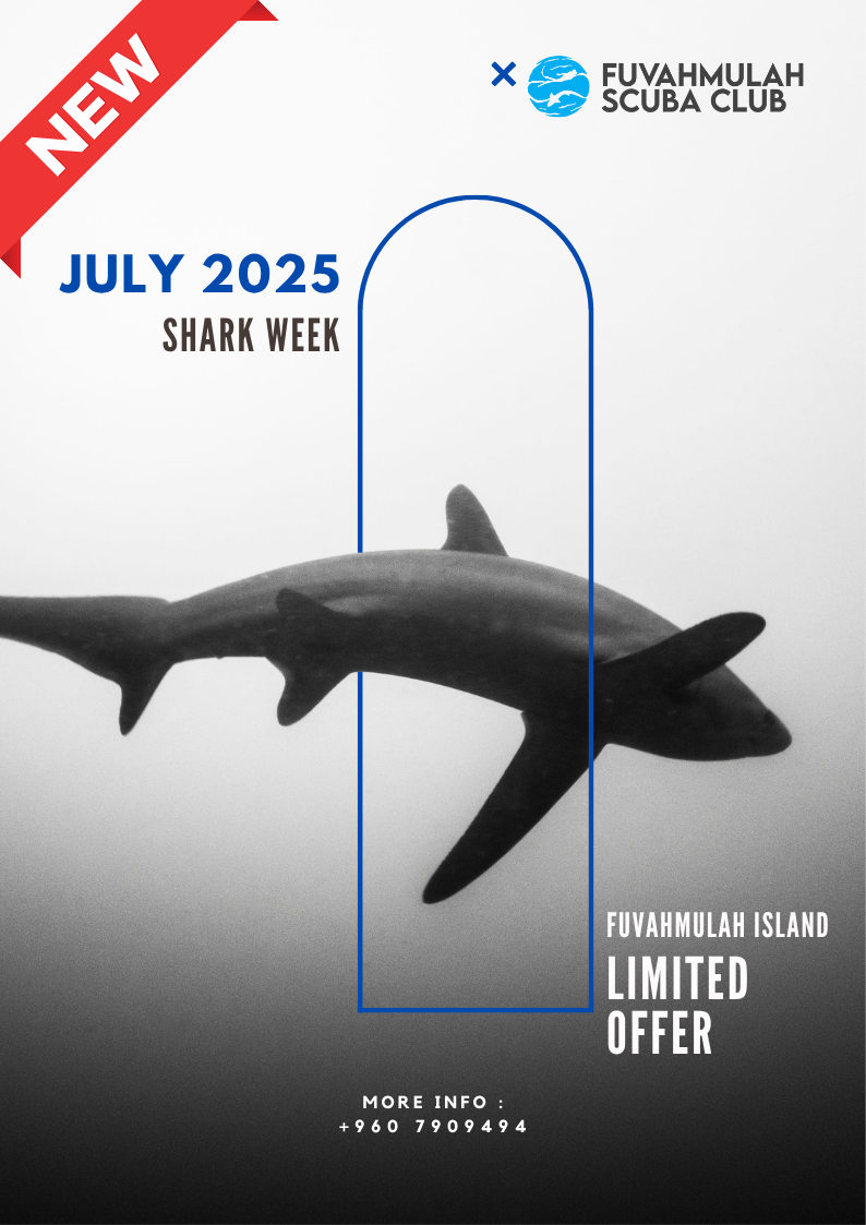 Tiger Shark Week July 2025