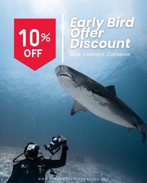 Early Bird Dive Offer | Travel February – December 2026